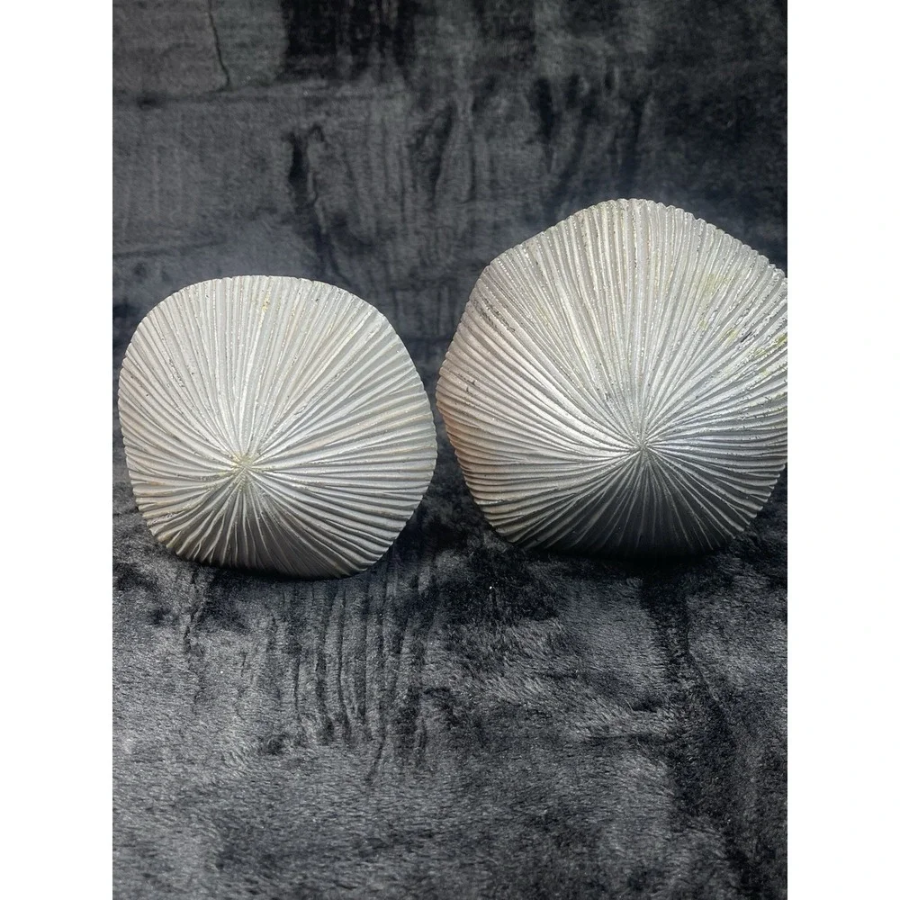 The Unbranded Brand charming woodland